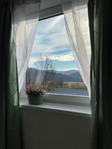 a window with a potted plant on a window sill at Chata Studnička Šumiac in Šumiac