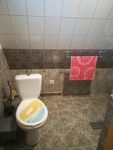 a bathroom with a toilet and a red towel at Oāze Smiltenē in Smiltene