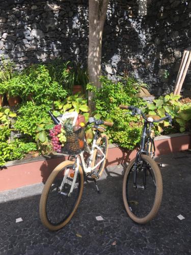 two bikes parked next to each other next to plants at Quinta Paços do Lago in Funchal
