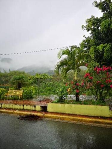 a view of a garden with flowers and a road at pié de la montaña in Bonao