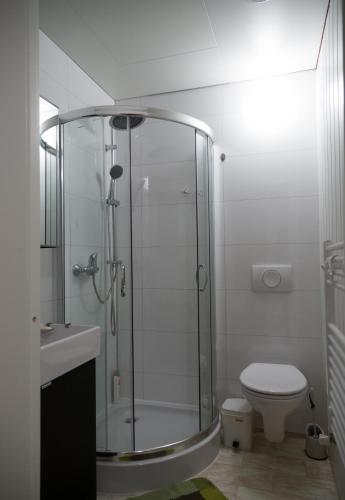 a bathroom with a glass shower and a toilet at AmHavern B&B in Haukland