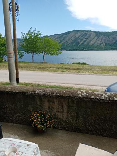 a vase of flowers sitting on a table next to a road at std- Na lepom plavom Dunavu in Kladušnica