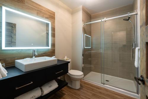 a bathroom with a sink and a shower at Le Viking Resort & Marina in Sainte-Marguerite