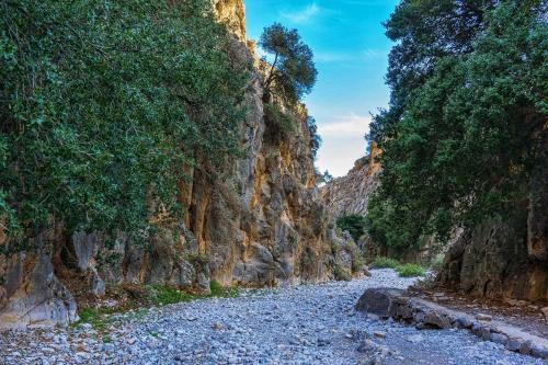 a rocky road in a canyon with trees at Traditional Villa Askyfou in Karés