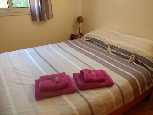 Eco Cabaña Rural – Photos 5