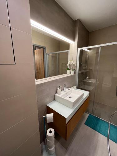 ein Bad mit einem Waschbecken, einer Dusche und einem Spiegel in der Unterkunft apartmán Jestřáb 14 in Janské Lázně