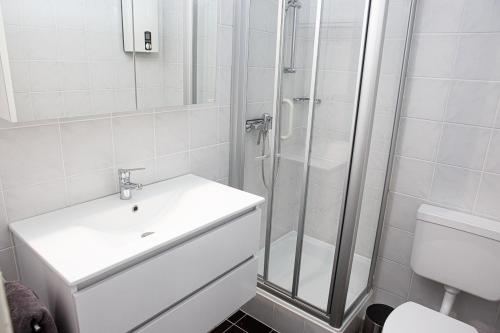a bathroom with a shower and a sink and a toilet at Oland Whg 17 Wellenflüstern in Wyk auf Föhr