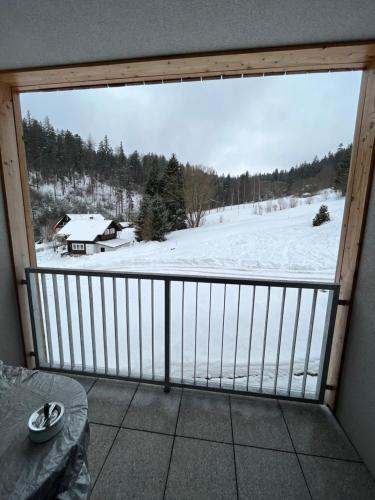 a balcony with a view of a snow covered field at apartmán Jestřáb 14 in Janske Lazne
