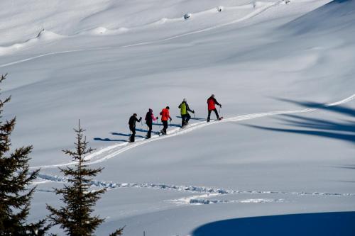a group of people skiing down a snow covered slope at Neues luxeriös eingerichtetes Apartment Bock in See