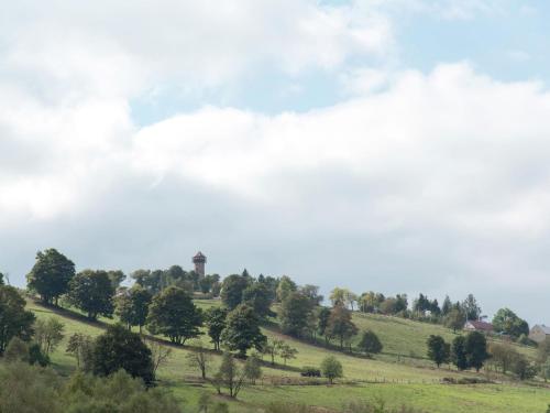 a field with trees and a water tower in the distance at Spacious holiday home in the Ore Mountains in Deutschneudorf