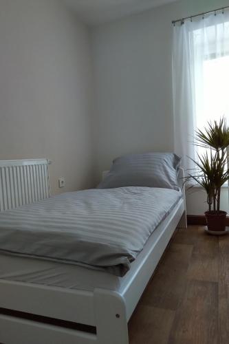 Apartmán Pod Říčkami في روكتنيتسه في أورليتسكي هوراش: سرير أبيض في غرفة نوم مع نافذة