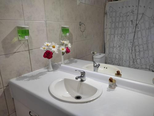 Hospedaje Austral في بويرتو مونت: حوض حمام مع إناء من الزهور عليه