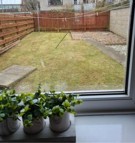 a window with four potted plants in a yard at North Coast Property - Number 15 in Thurso