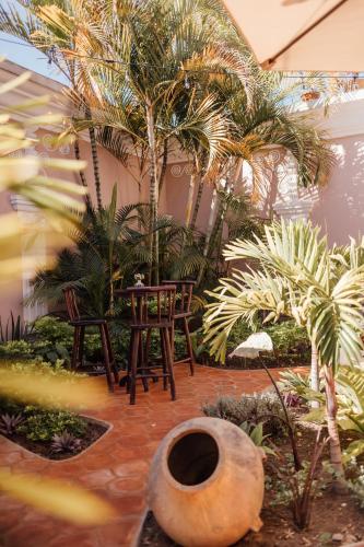 a patio with two chairs and palm trees at Ojala in Antigua Guatemala
