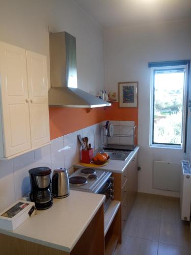 cocina con fogones y encimera en Manolo s olive farm, apartment with seaview, en La Canea