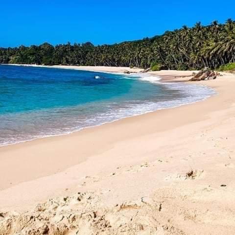 a sandy beach with the ocean and trees in the background at Thatched Villa in Tangalle