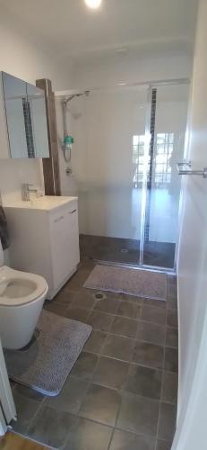 W łazience znajduje się prysznic, toaleta i umywalka. w obiekcie Rising Sun w mieście Russell Island
