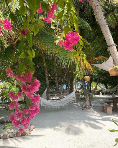 a hammock on a beach with pink flowers at Kahanbu Ocean View in Thulusdhoo
