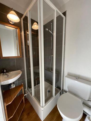 une salle de bain avec une douche, des toilettes et un lavabo dans l'établissement appartement en duplex alpe d'huez, à L'Alpe-d'Huez