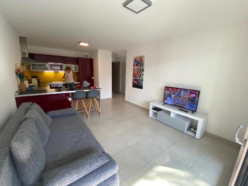 TV a/nebo společenská místnost v ubytování Appartement à quelques minutes du lac d’Annecy - Saint-Jorioz