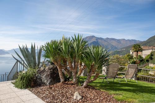 two palm trees in a yard with two chairs at Residence CaFelicita - Apartments Lake View - Infinity Pool - Jacuzzi in Gravedona