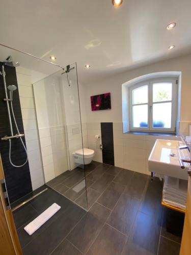 een badkamer met een douche, een toilet en een wastafel bij Landhaus Folk in Pleinfeld