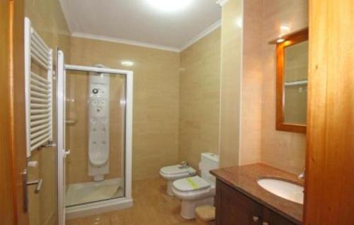 a bathroom with a toilet and a sink and a shower at Casa Ze da Cotta in Vila Verde