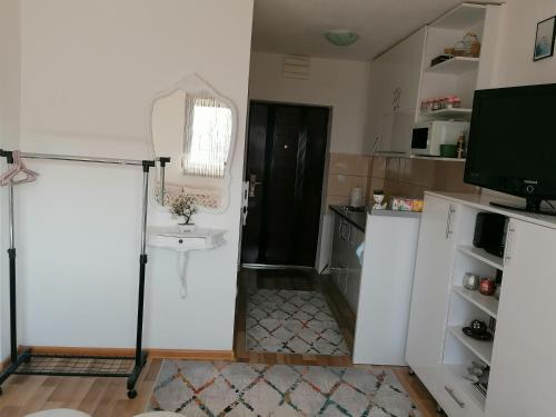 Virtuvė arba virtuvėlė apgyvendinimo įstaigoje Studio Apartman ZENICA