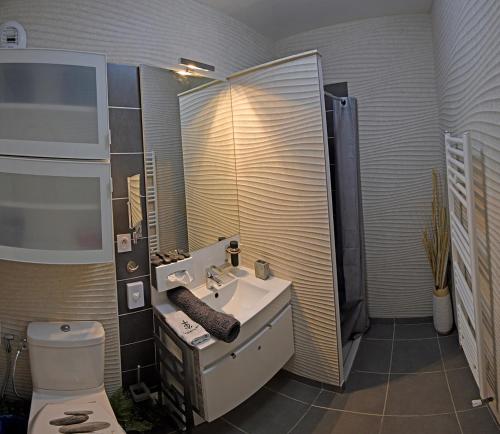 a bathroom with a sink and a toilet at Appartement de L'Espiguette in Le Grau-du-Roi