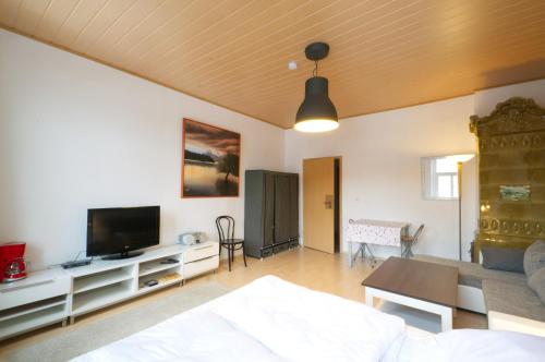 a living room with a bed and a tv at EF29-Zimmer am Busbahnhof in Annaberg-Buchholz