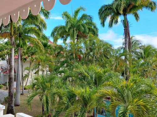 a group of palm trees in front of a building at STUDIO 1015 in Sainte-Anne