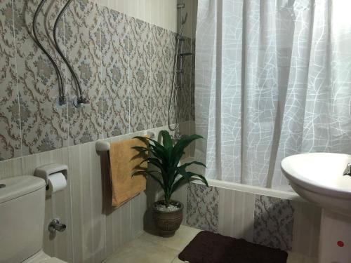 a bathroom with a sink and a toilet and a plant at Santorini Seafront Stay in Alexandria