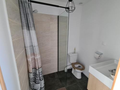 a bathroom with a shower curtain and a toilet at Le Petit Chêne in Orgnac-lʼAven