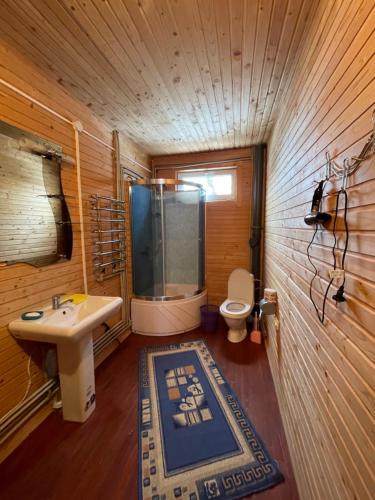 W łazience znajduje się umywalka, prysznic i toaleta. w obiekcie Вілла в Карпатах w mieście Worochta