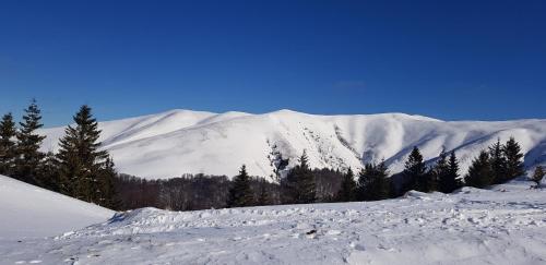 a snow covered mountain with trees in the background at Vila Alunis in Buşteni