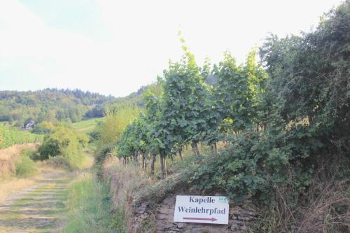 a sign in a vineyard with a sign on a road at Friends and Family Leiwen in Leiwen