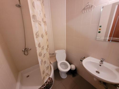 a small bathroom with a toilet and a sink at База відпочинку "Тростян" in Slavske