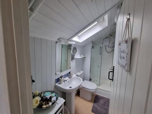 Tanygrisiau的住宿－TY Kate cosy cottage，一间带水槽和卫生间的小浴室