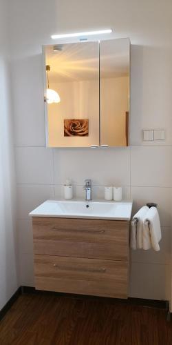 a bathroom with a sink and a mirror at Zimmervermietung Stocker in Waidhofen an der Ybbs