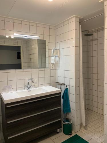 een badkamer met een wastafel en een spiegel bij Het Rode Pakhuis in Doesburg