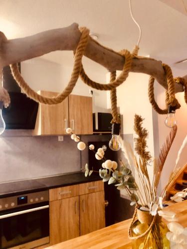 a bunch of rope hanging from a kitchen ceiling at Hostel Hof Kranichstein in Kluis