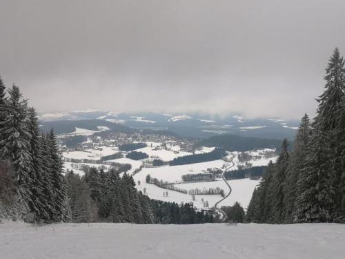 a view of a snow covered mountain with trees at Apartment Michaela in Sankt Englmar