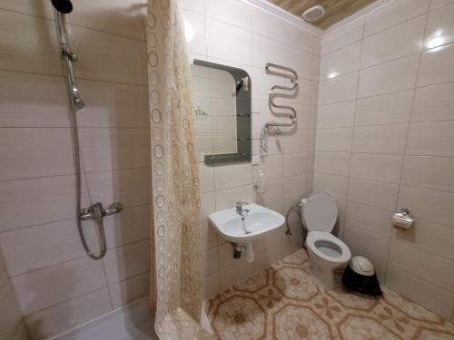 a bathroom with a sink and a toilet and a shower at База відпочинку "Тростян" in Slavske