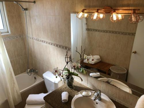 une salle de bains avec lavabo, toilettes et miroir dans l'établissement Villa Populo, à Ponta Delgada