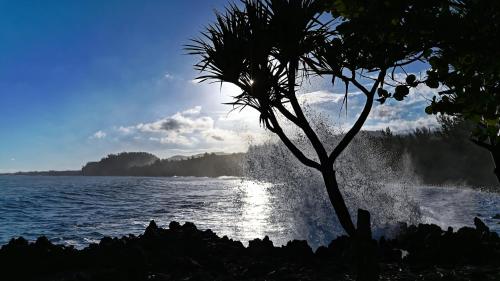 Un paisaje natural cerca de la casa vacacional