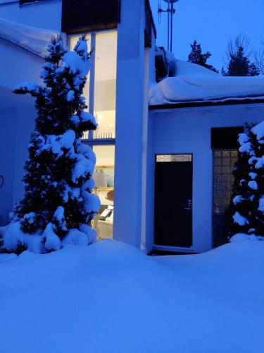 a snow covered tree in front of a house at Pikkukoti Villa in Keuruu