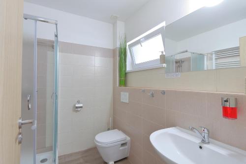 a bathroom with a toilet and a sink and a mirror at Apartmány Sophia 5 a 6 in Velké Losiny