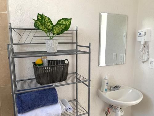 a bathroom with a sink and a shelf with a plant at Departamento 2 habitaciones con vista a la piscina by EITA in Cancún