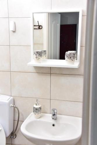 a bathroom with a sink and a mirror at Apartmani Koko in Banja Luka