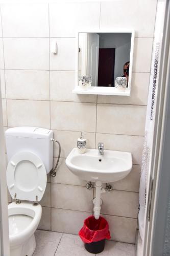 a bathroom with a toilet and a sink at Apartmani Koko in Banja Luka